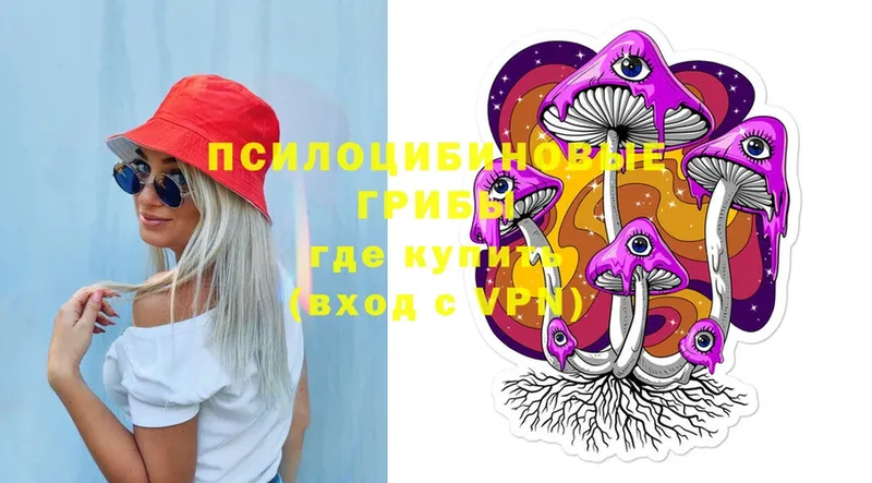 купить   Верхняя Тура  Псилоцибиновые грибы Psilocybe 